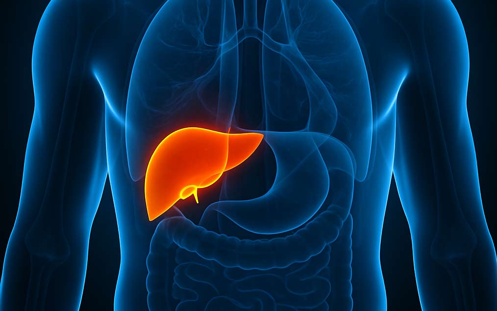 Safra Kesesi Cerrahisi