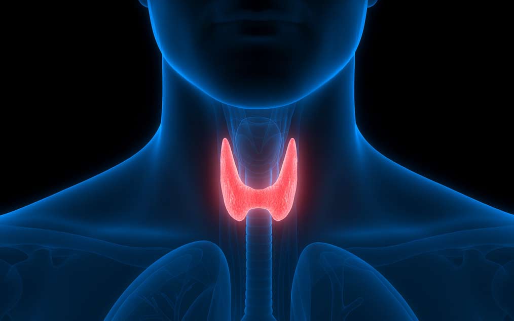 Tiroid ve Endokrin Cerrahisi